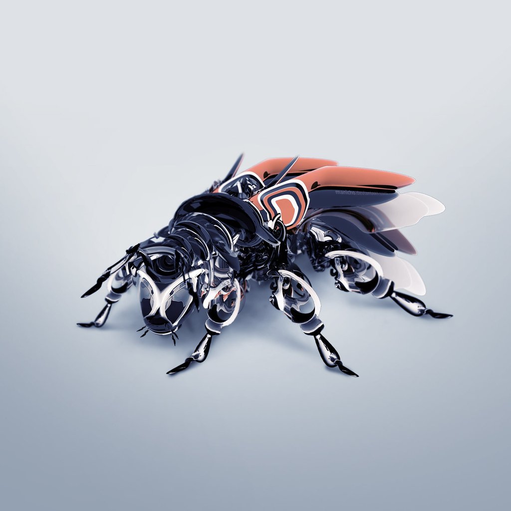 Обои жук, крылья, усики, 3д, beetle, wings, antennae, 3d разрешение 2560x1600 Загрузить