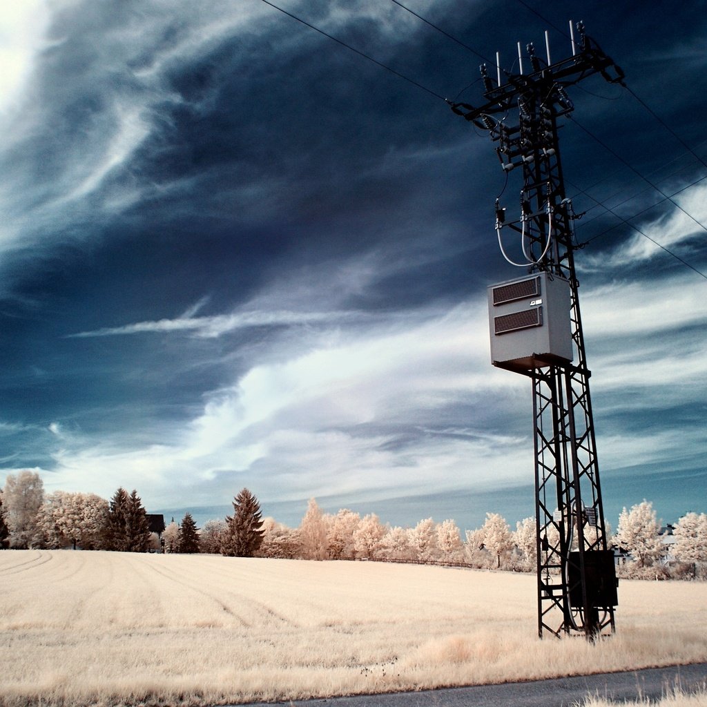 Обои небо, деревья, провода, поле, столб, the sky, trees, wire, field, post разрешение 2560x1600 Загрузить