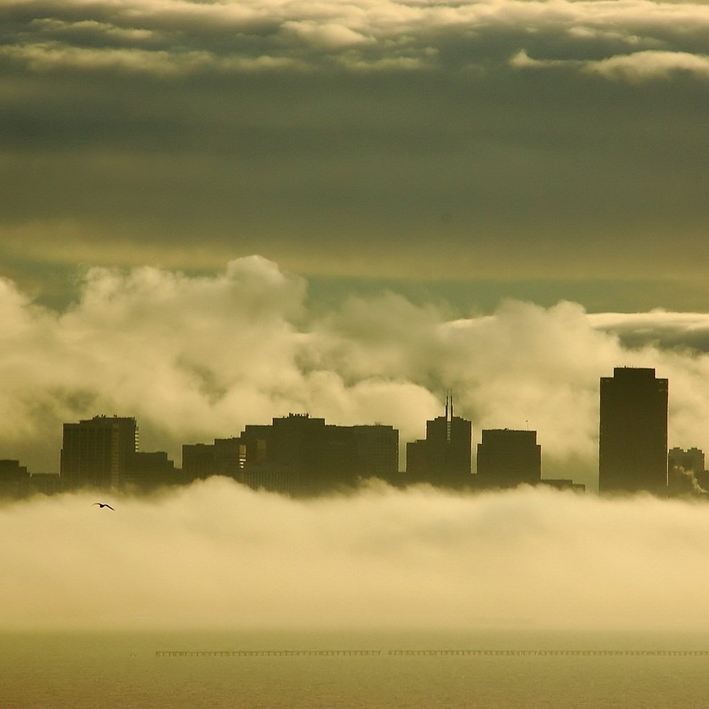 Обои туман, чайка, здания, fog, seagull, building разрешение 1920x1440 Загрузить