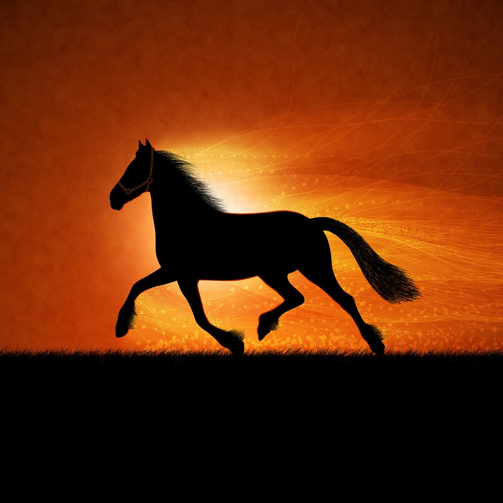 Обои рисунок, лошадь, figure, horse разрешение 2560x1600 Загрузить