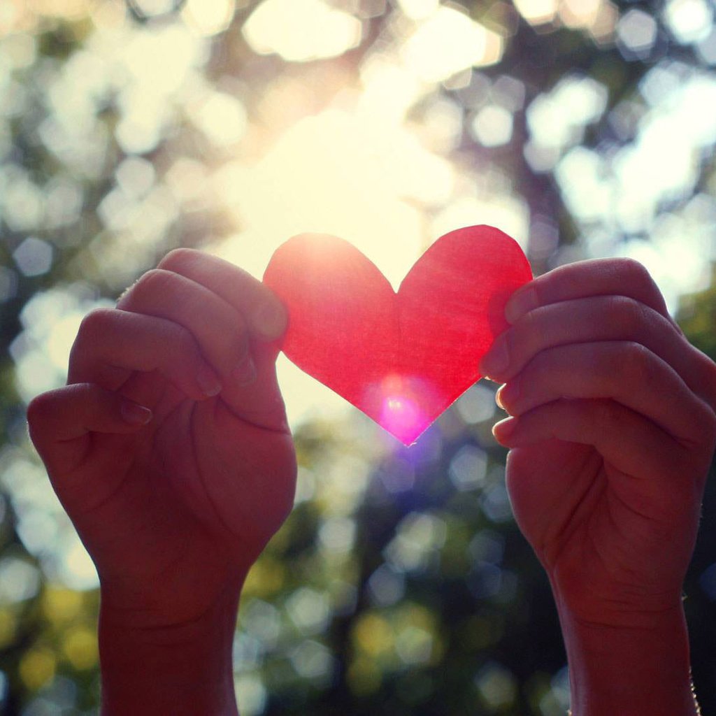 Обои сердце, руки, день святого валентина, валентинка, heart, hands, valentine's day, valentine разрешение 1920x1080 Загрузить