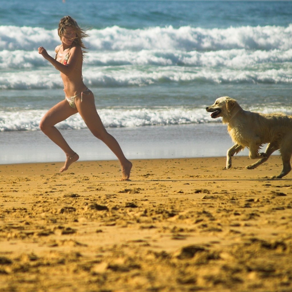 Обои берег, бег, девушка, настроение, море, песок, пляж, собака, игра, shore, running, girl, mood, sea, sand, beach, dog, the game разрешение 1920x1440 Загрузить