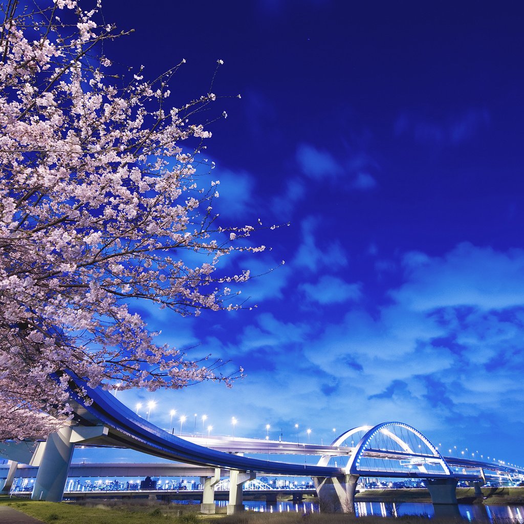 Обои фонари, река, дерево, мост, япония, lights, river, tree, bridge, japan разрешение 1920x1200 Загрузить