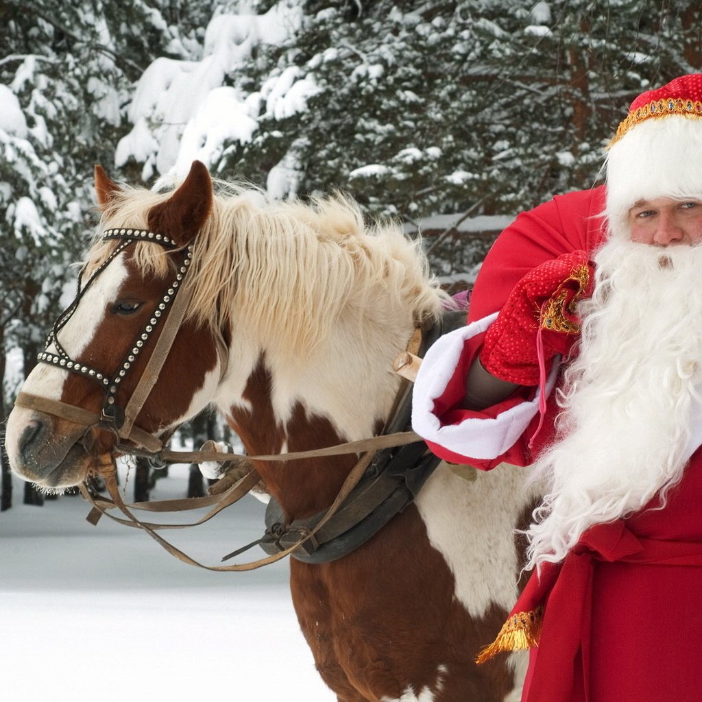 Обои лошадь, новый год, лес, зима, дед мороз, праздник, великий устюг, horse, new year, forest, winter, santa claus, holiday, veliky ustyug разрешение 1920x1200 Загрузить