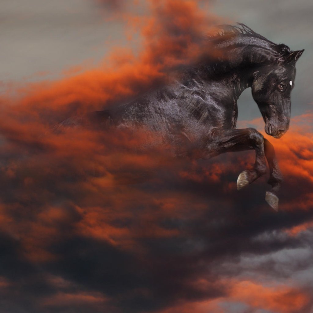 Обои лошадь, черный, апокалипсис, конь, horse, black, apocalypse разрешение 1920x1080 Загрузить