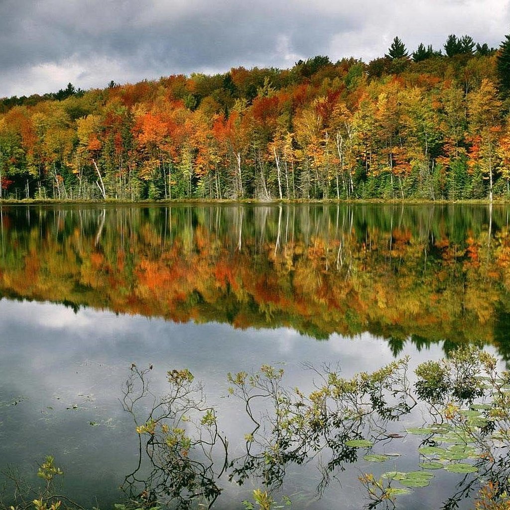 Обои деревья, вода, озеро, лес, отражение, осень, trees, water, lake, forest, reflection, autumn разрешение 1920x1080 Загрузить