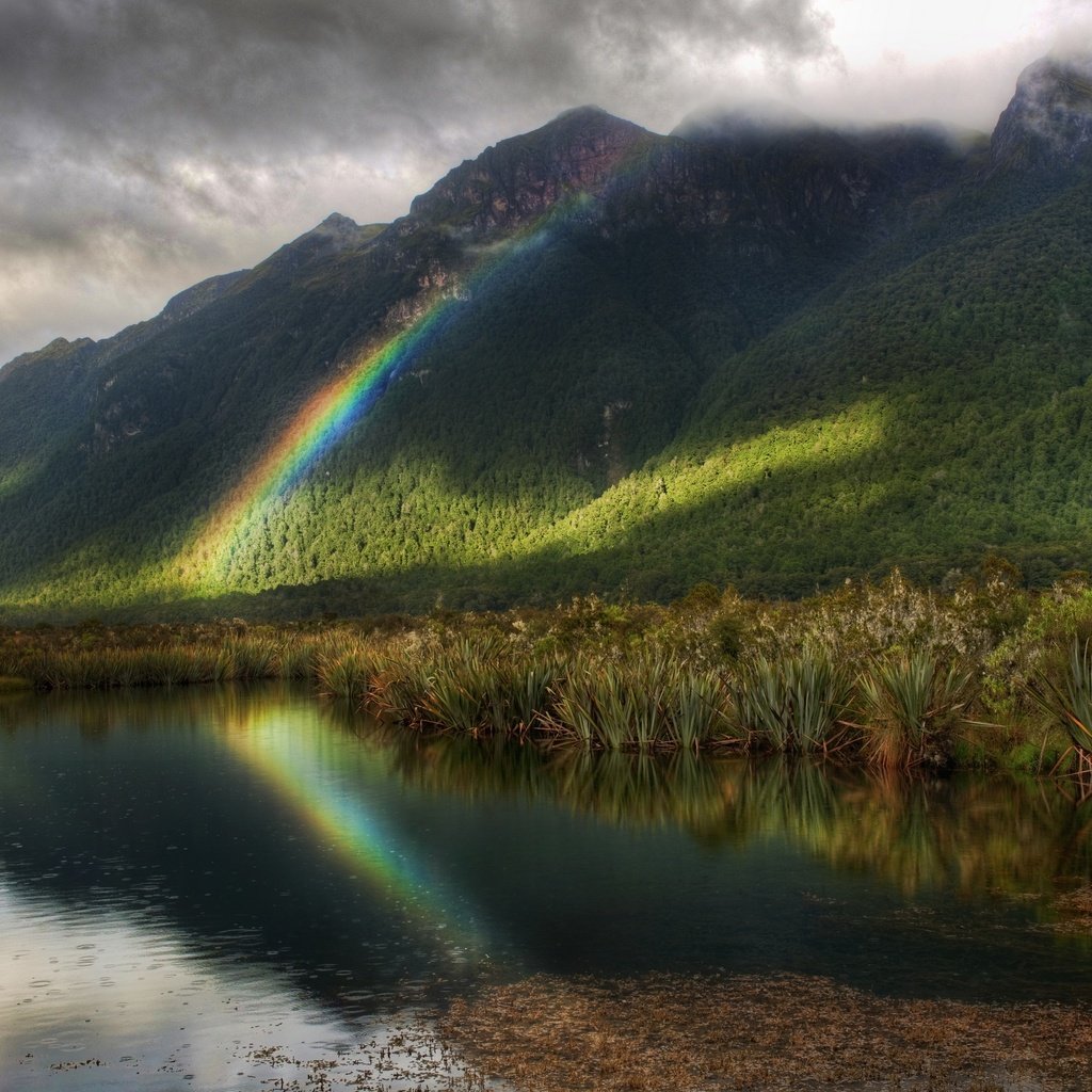 Обои деревья, радуга, водоем, дождь, trees, rainbow, pond, rain разрешение 2560x1600 Загрузить