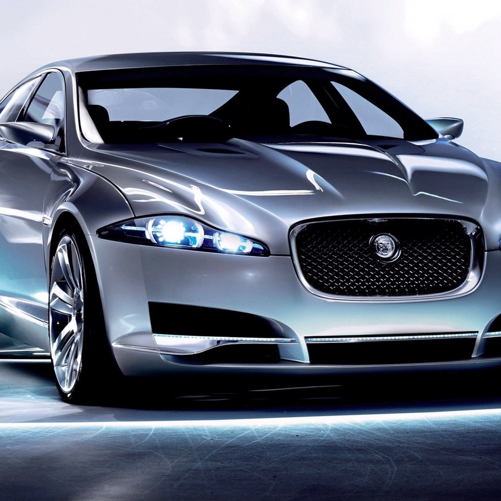 Обои ягуа́р, jaguar разрешение 1920x1080 Загрузить