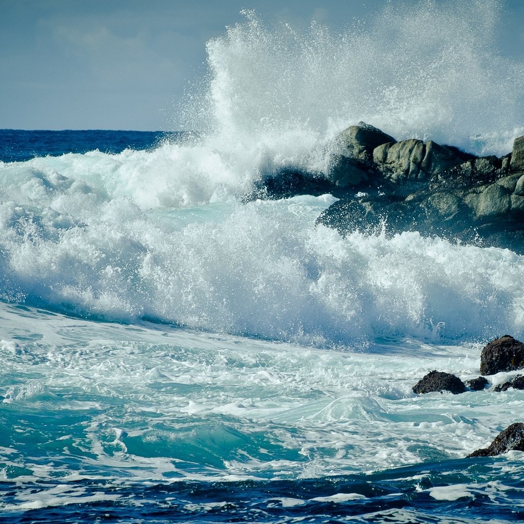 Обои вода, шторм, скалы, пена, природа, волны, море, брызги, океан, сша, water, storm, rocks, foam, nature, wave, sea, squirt, the ocean, usa разрешение 1920x1080 Загрузить