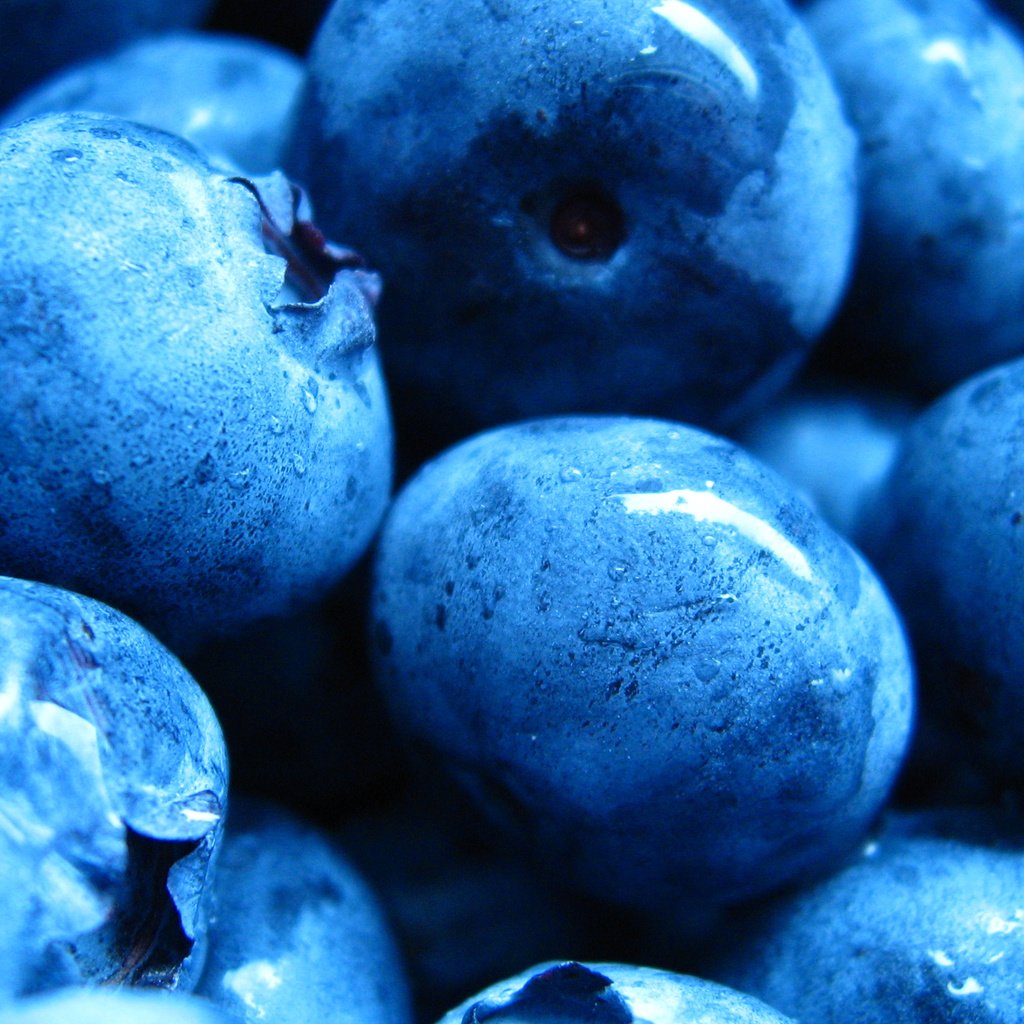 Обои капли, ягода, черника, drops, berry, blueberries разрешение 2560x1600 Загрузить