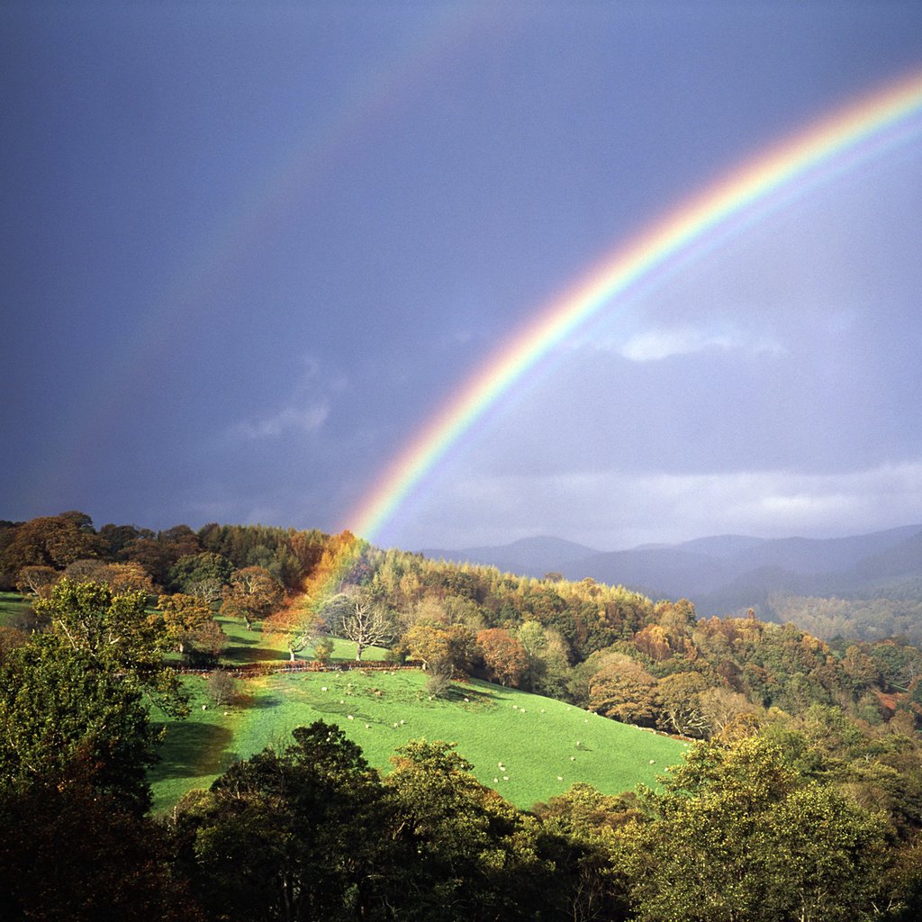 Обои холмы, природа, радуга, hills, nature, rainbow разрешение 1920x1200 Загрузить