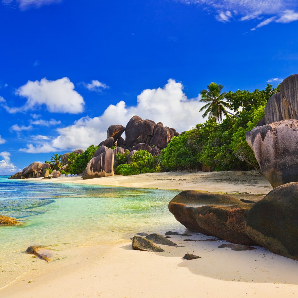 Обои камни, пляж, пальмы, сейшелы, stones, beach, palm trees, seychelles разрешение 4246x2827 Загрузить