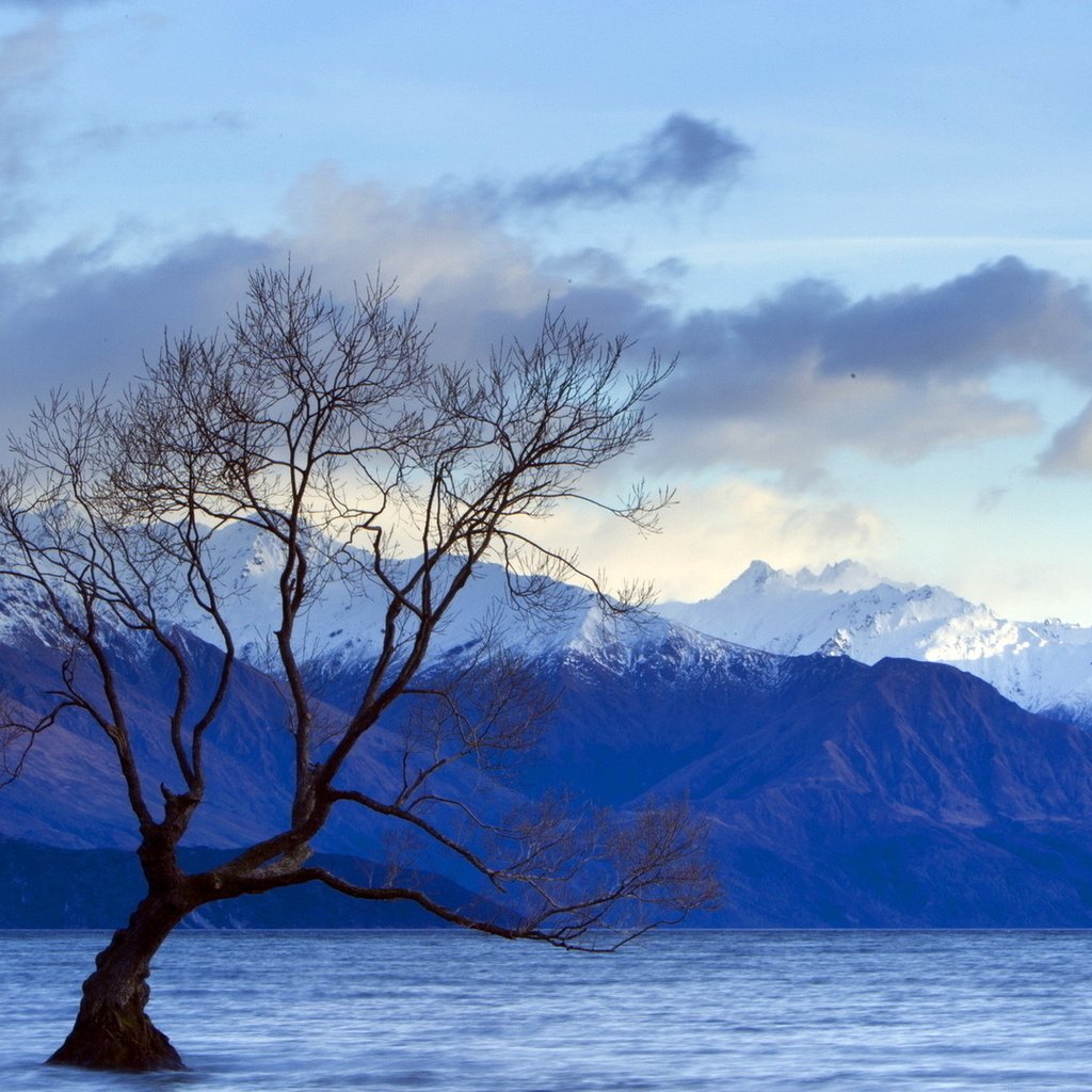 Обои небо, облака, озеро, горы, дерево, пейзаж, вершины, the sky, clouds, lake, mountains, tree, landscape, tops разрешение 1920x1080 Загрузить