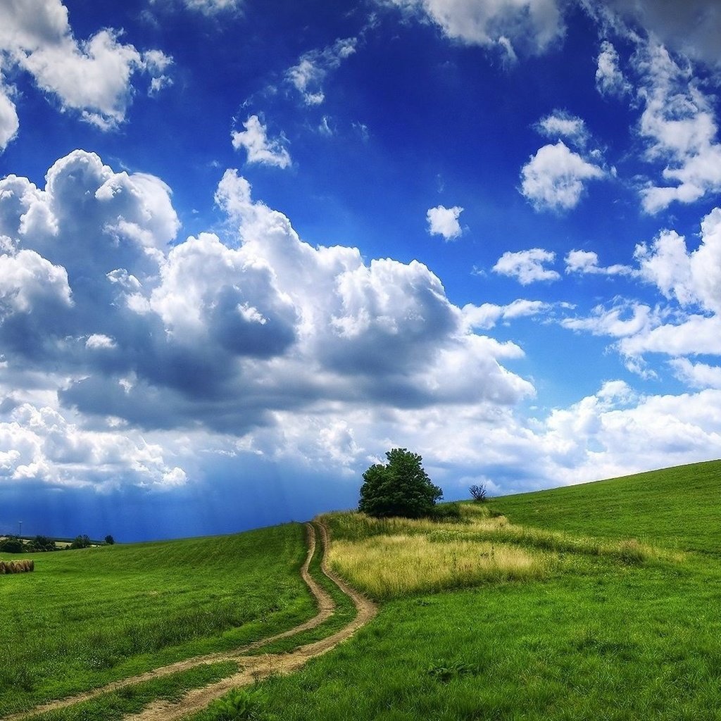 Обои дорога, облака, холмы, дерево, тучи, пейзаж, поле, сено, рава, rav, road, clouds, hills, tree, landscape, field, hay разрешение 1920x1080 Загрузить