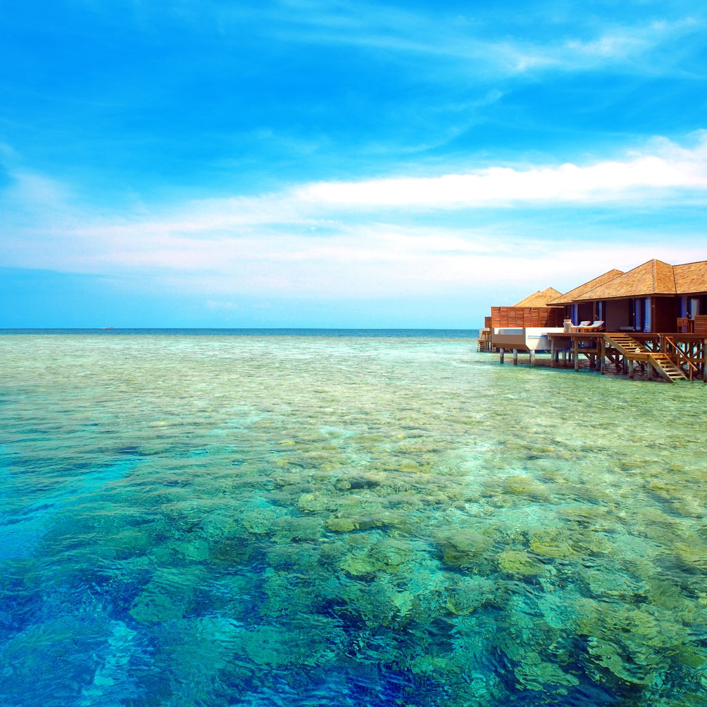 Обои море, бунгало, тропики, мальдивы, sea, bungalow, tropics, the maldives разрешение 5016x3356 Загрузить