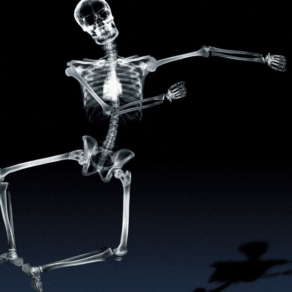 Обои тень, рентген, кости, скелет, танцует, shadow, x-ray, bones, skeleton, dancing разрешение 1920x1080 Загрузить