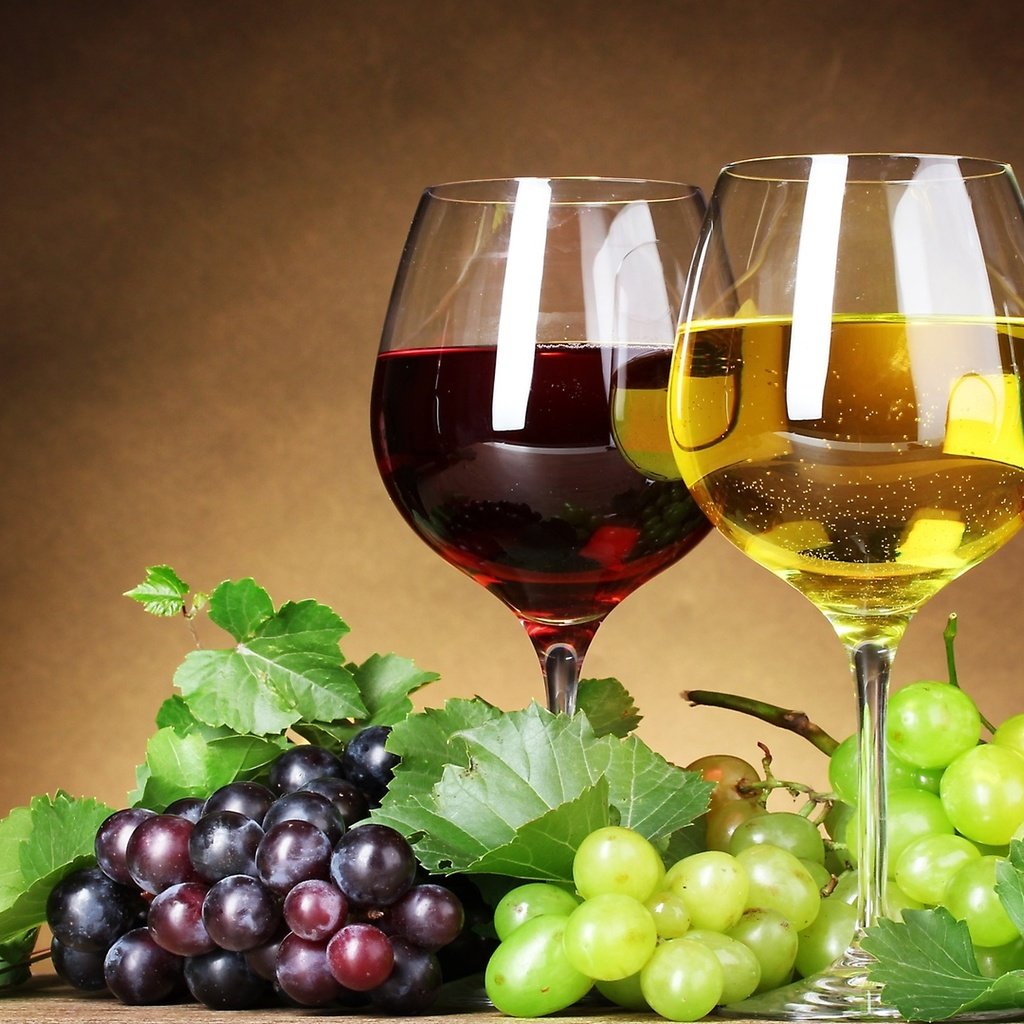 Обои виноград, вино, бокалы, бокалы с вином и виноград, grapes, wine, glasses, glasses with wine and grapes разрешение 2560x1440 Загрузить