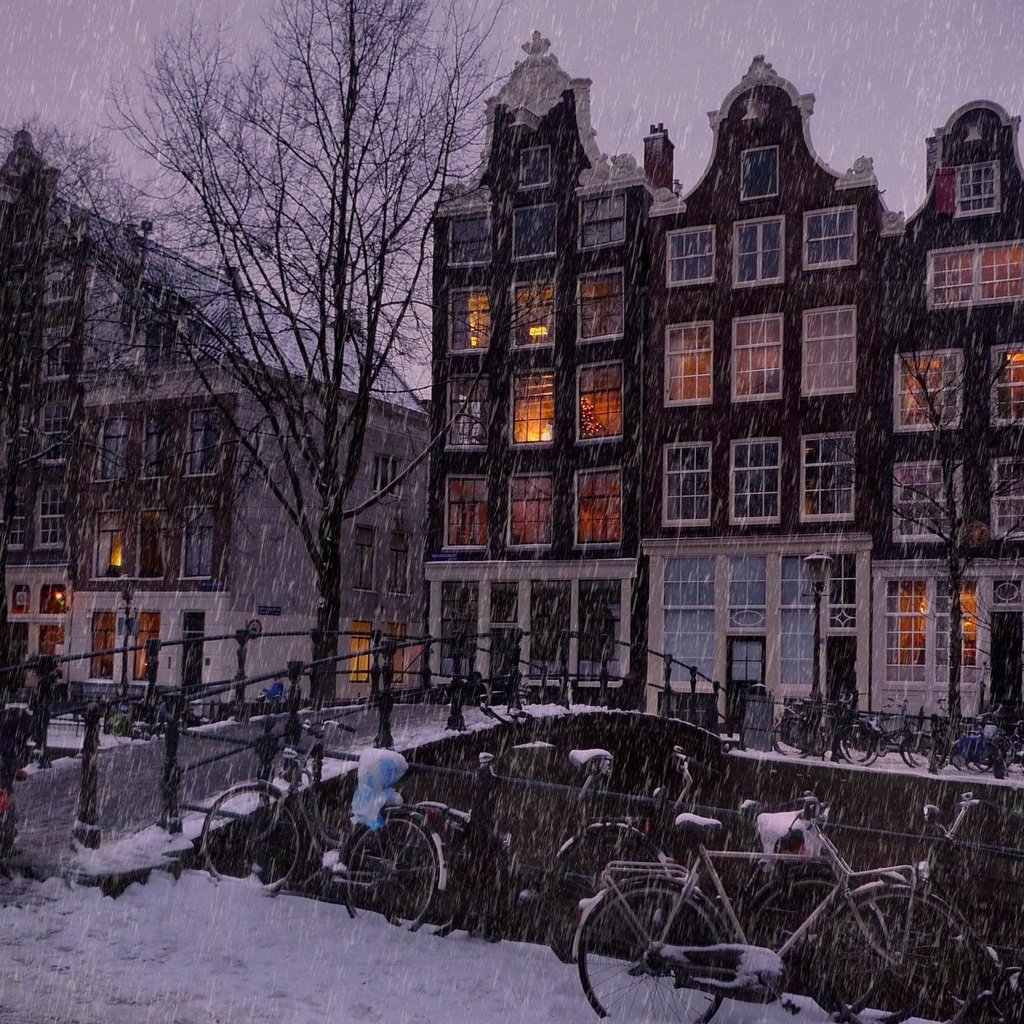 Обои деревья, люди, let it snow in the amsterdam, огни, мост, вечер, дома, река, улица, снег, дождь, зима, здания, окна, пейзаж, зимний, вид, амстердам, amsterdam, trees, people, lights, bridge, the evening, home, river, street, snow, rain, building, winter, windows, landscape, view разрешение 2560x1600 Загрузить