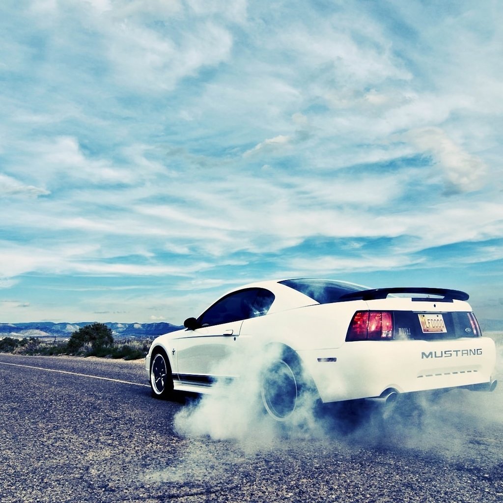 Обои burnout, мустанг, купе, автообои, ford mustang, автодорога, mustang, coupe, rechange, road разрешение 1920x1200 Загрузить