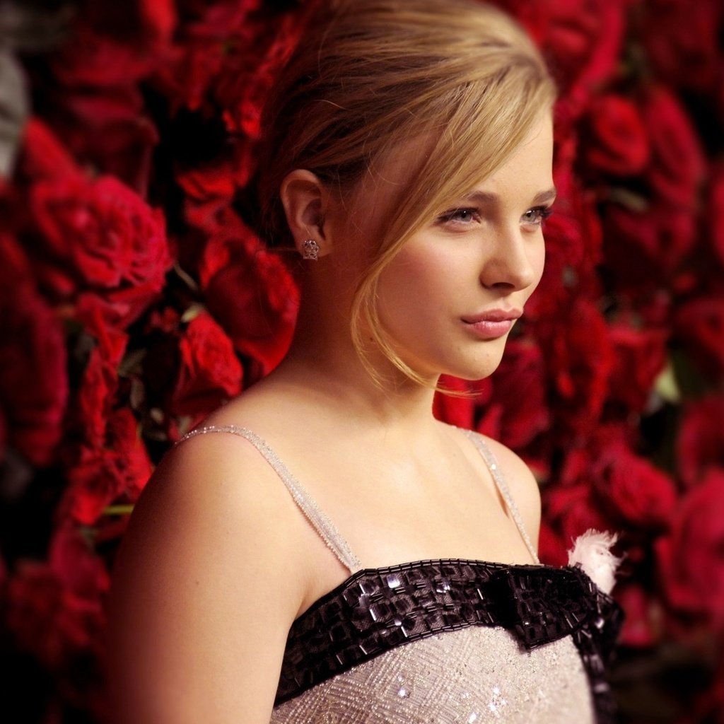 Обои розы, актриса, хлоя грейс морец, aктриса, roses, actress, chloe grace moretz разрешение 2560x1600 Загрузить