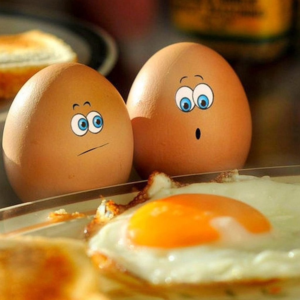 Обои яйца, печаль, ужас, яичница, eggs, sadness, horror, scrambled eggs разрешение 1920x1200 Загрузить