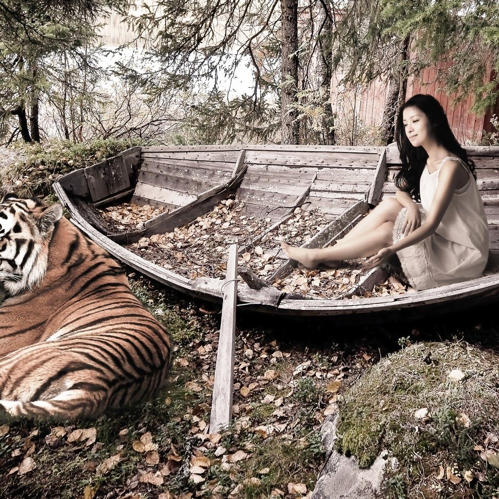 Обои тигр, деревья, девушка, лодка, опавшие листья, tiger, trees, girl, boat, fallen leaves разрешение 2560x1440 Загрузить
