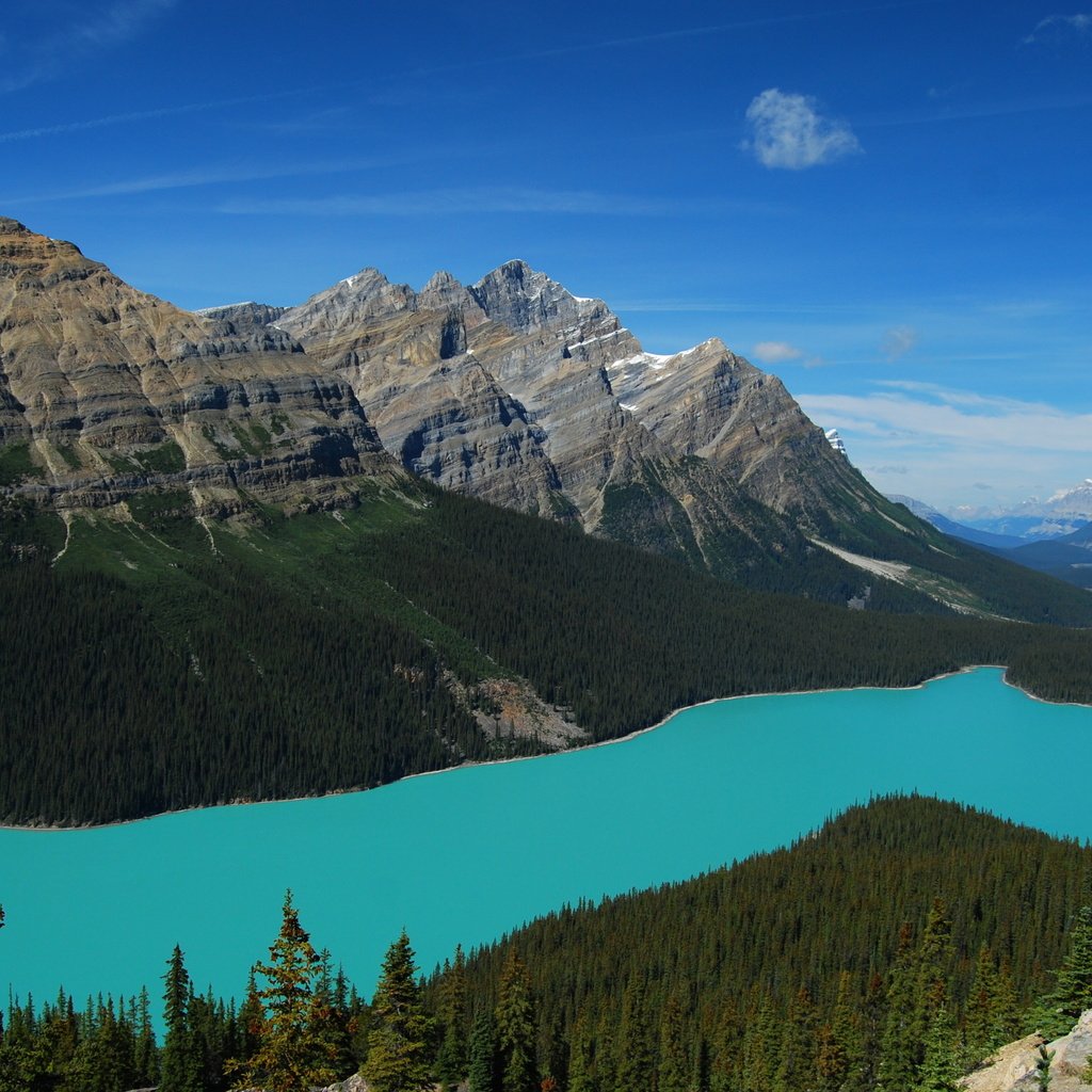 Обои озеро, горы, лес, пейзаж, канада, национальный парк банф, peyto lake, пейто, lake, mountains, forest, landscape, canada, banff national park, peyto разрешение 2560x1600 Загрузить