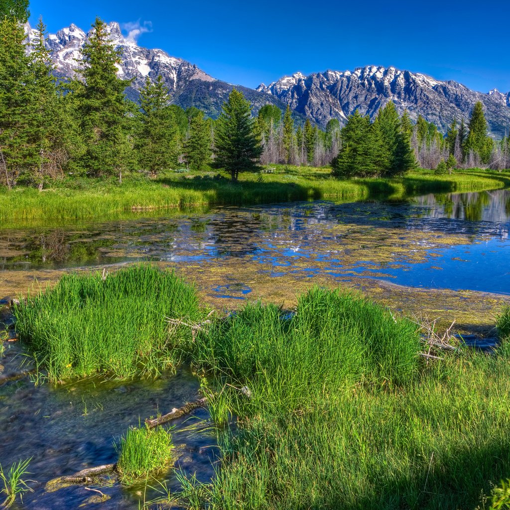 Обои трава, деревья, река, горы, лес, даль, зеленая, речка, grass, trees, river, mountains, forest, dal, green разрешение 2560x1600 Загрузить