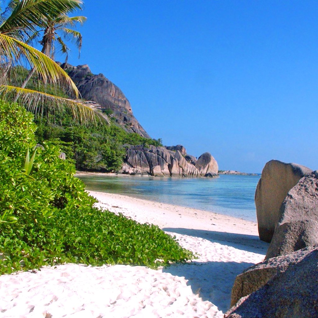 Обои камни, море, песок, пляж, тропики, stones, sea, sand, beach, tropics разрешение 1920x1200 Загрузить