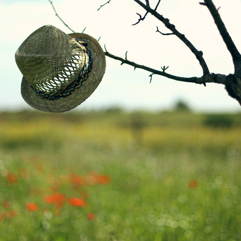 Обои небо, дерево, настроение, фон, поле, шляпа, the sky, tree, mood, background, field, hat разрешение 2560x1600 Загрузить