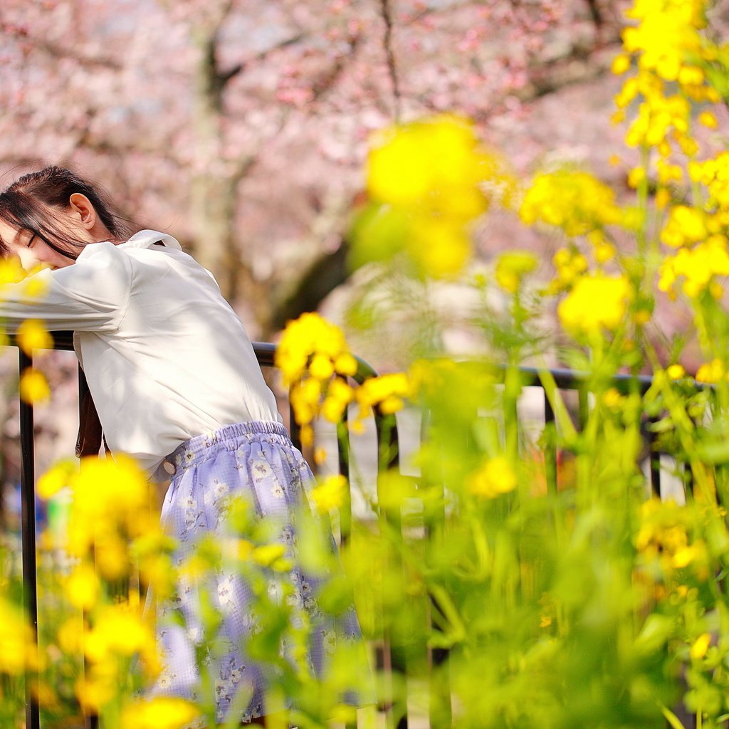 Обои цветы, девушка, спит, ограда, flowers, girl, sleeping, fence разрешение 2560x1707 Загрузить