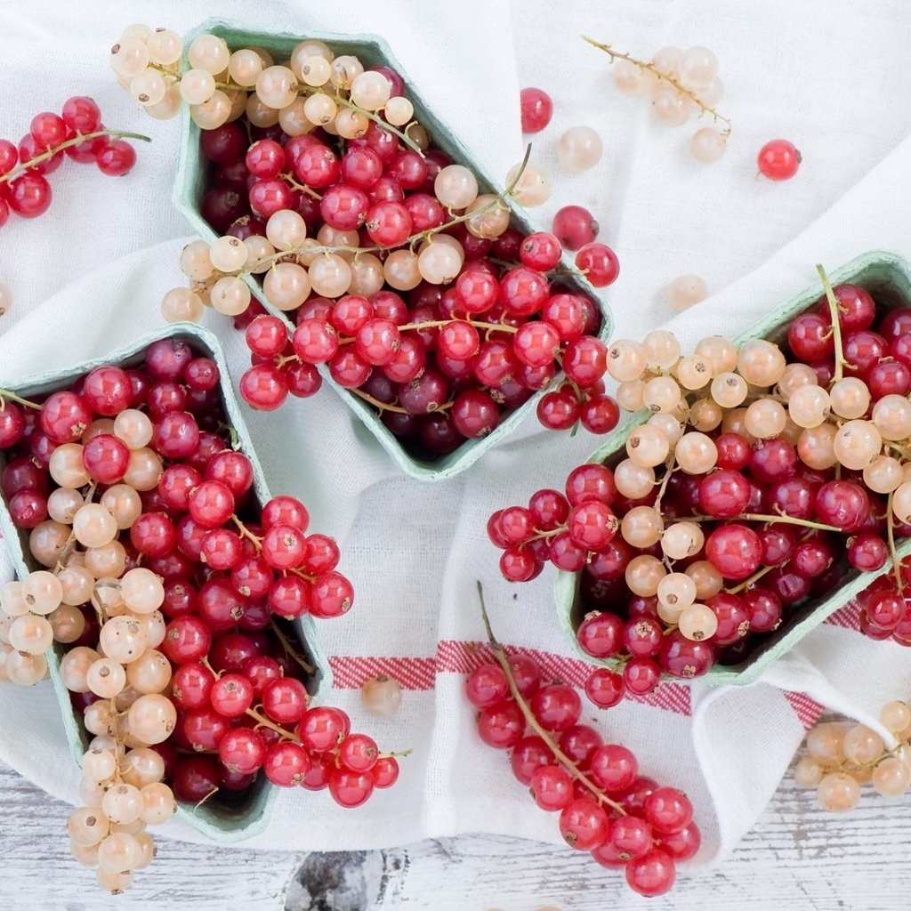 Обои красная, ягоды, белая, смородина, кисти, red, berries, white, currants, brush разрешение 1920x1292 Загрузить