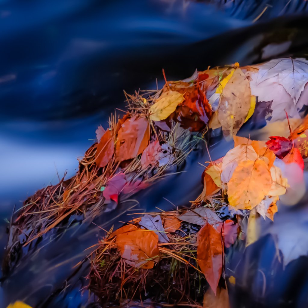 Обои река, камни, листья, ручей, осень, поток, осенние листья, river, stones, leaves, stream, autumn, autumn leaves разрешение 1931x1291 Загрузить