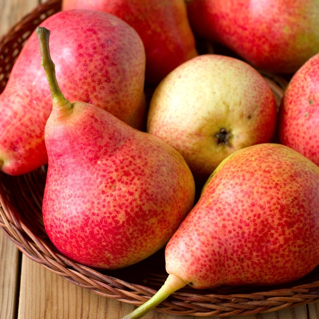 Обои макро, фрукты, плоды, груши, macro, fruit, pear разрешение 2400x1542 Загрузить