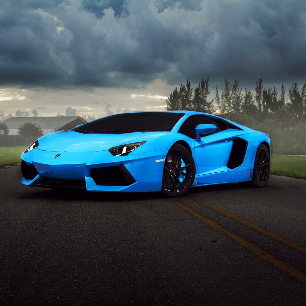 Обои синий, улица, ламборджини авентадор, blue, street, lamborghini aventador разрешение 5000x3125 Загрузить