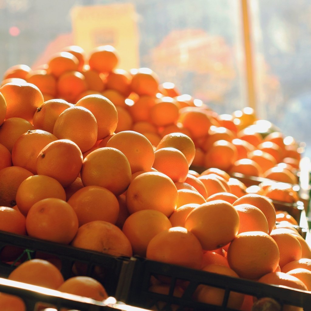 Обои фрукты, апельсины, много, оранжевые, fruit, oranges, a lot, orange разрешение 2560x1440 Загрузить