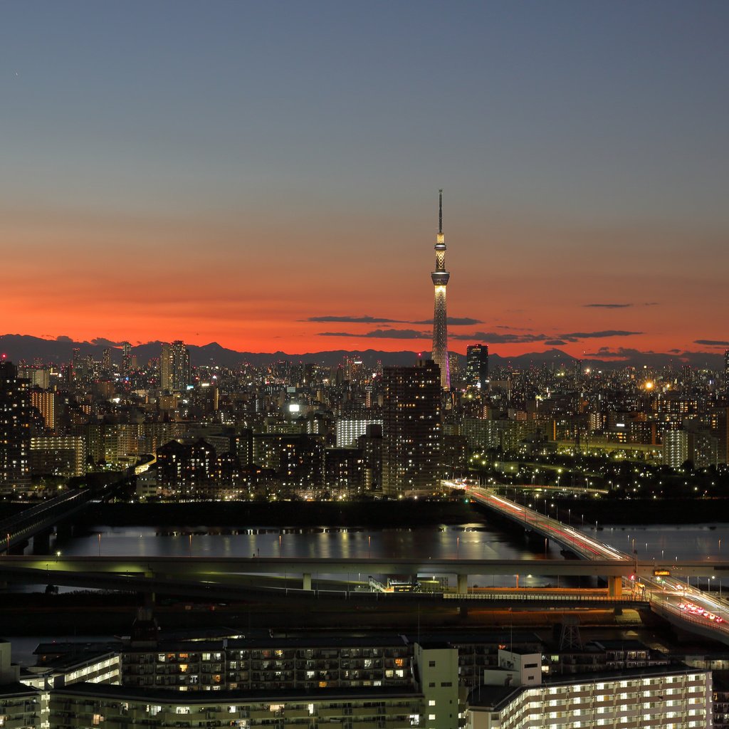 Обои япония, башня, токио, roaș, japan, tower, tokyo разрешение 2048x1365 Загрузить