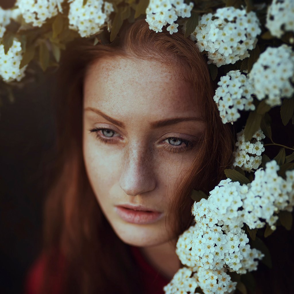 Обои цветы, макро, портрет, веснушки, ronny garcia, flowers, macro, portrait, freckles разрешение 2048x1365 Загрузить