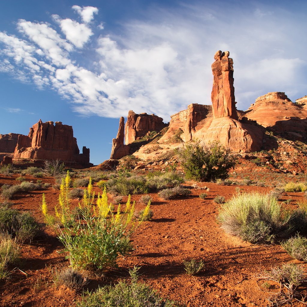 Обои скалы, пустыня, каньон, сша, юта, национальный парк арки, rocks, desert, canyon, usa, utah, arches national park разрешение 2048x1365 Загрузить