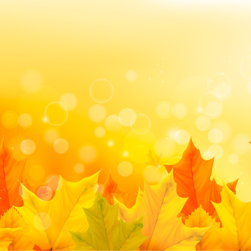Обои цвета, листья, фон, осень, color, leaves, background, autumn разрешение 5121x3000 Загрузить