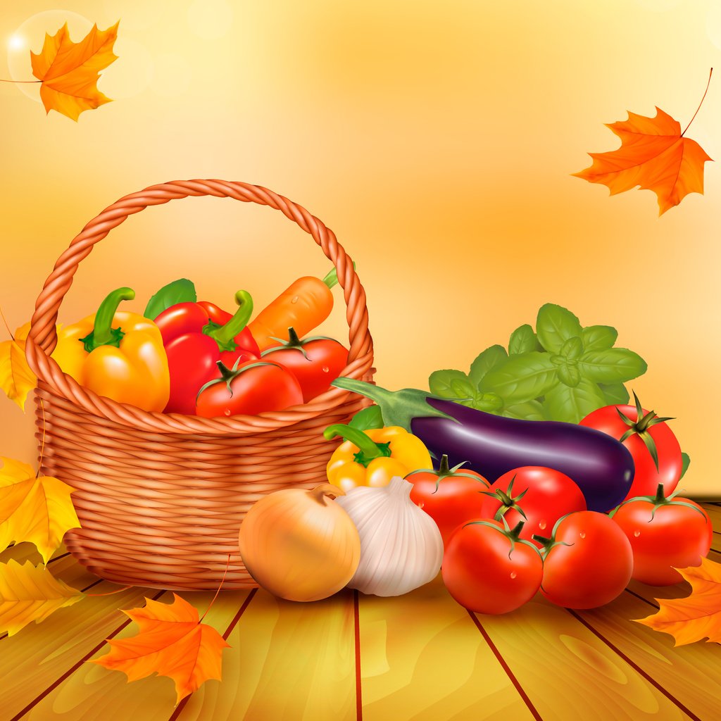 Обои листья, вектор, осень, корзина, урожай, овощи, натюрморт, leaves, vector, autumn, basket, harvest, vegetables, still life разрешение 4340x3400 Загрузить