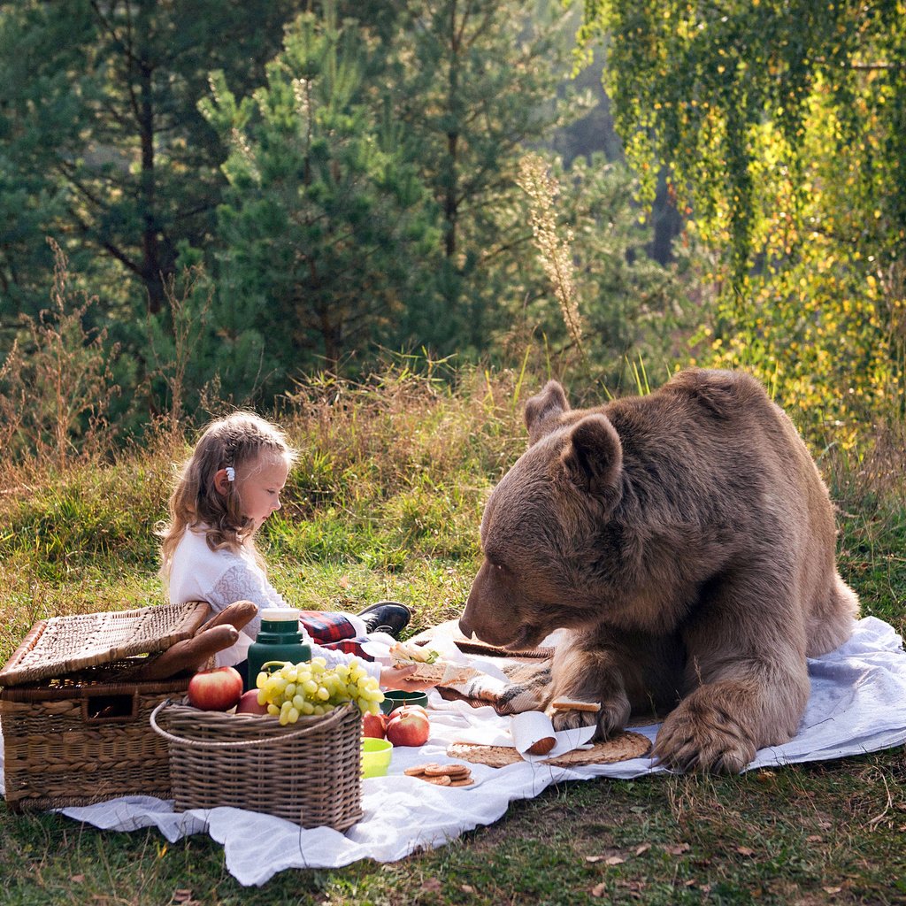 Обои природа, медведь, девочка, пикник, маша и медведь, nature, bear, girl, picnic, masha and the bear разрешение 4252x2835 Загрузить