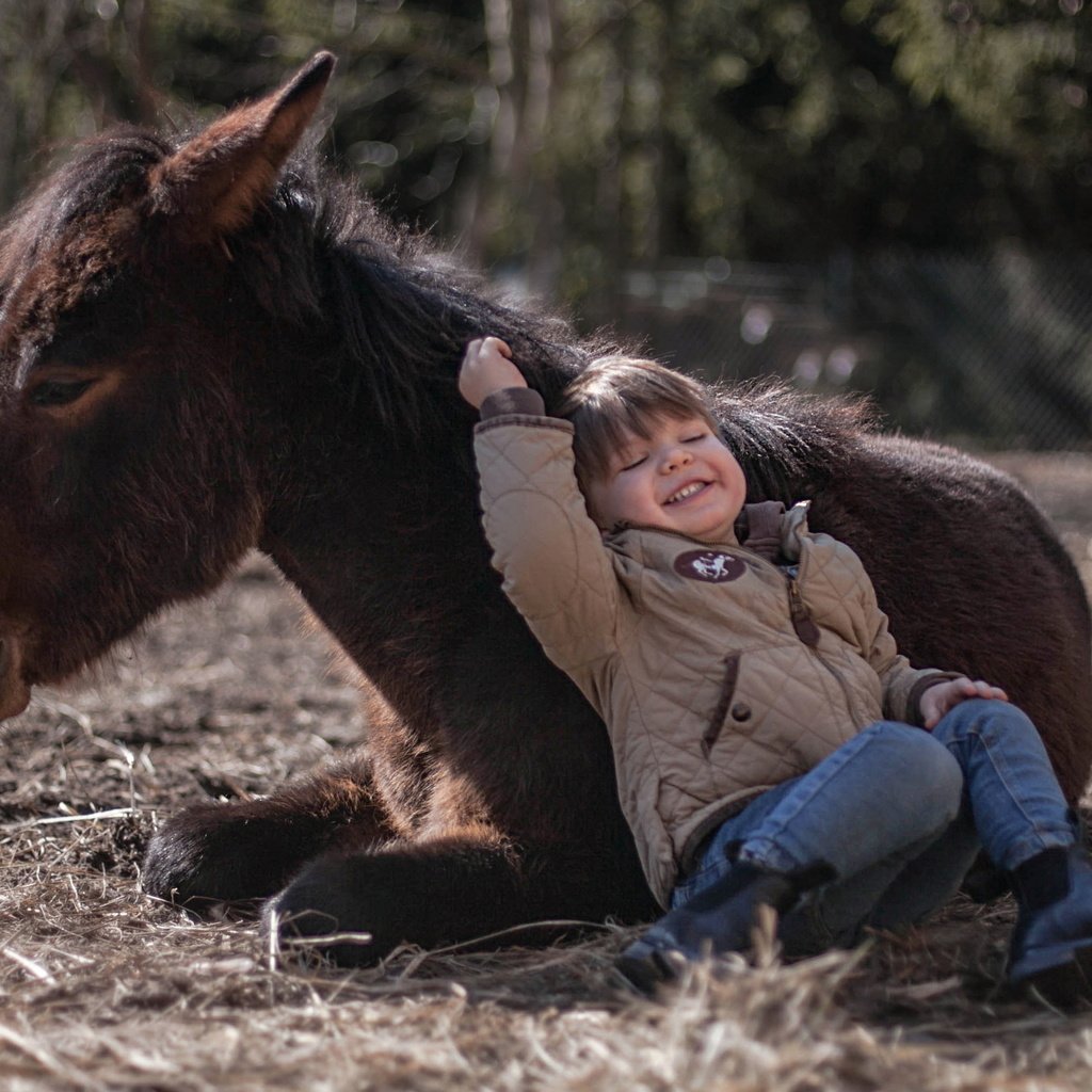 Обои фон, мальчик, пони, background, boy, pony разрешение 3479x2051 Загрузить