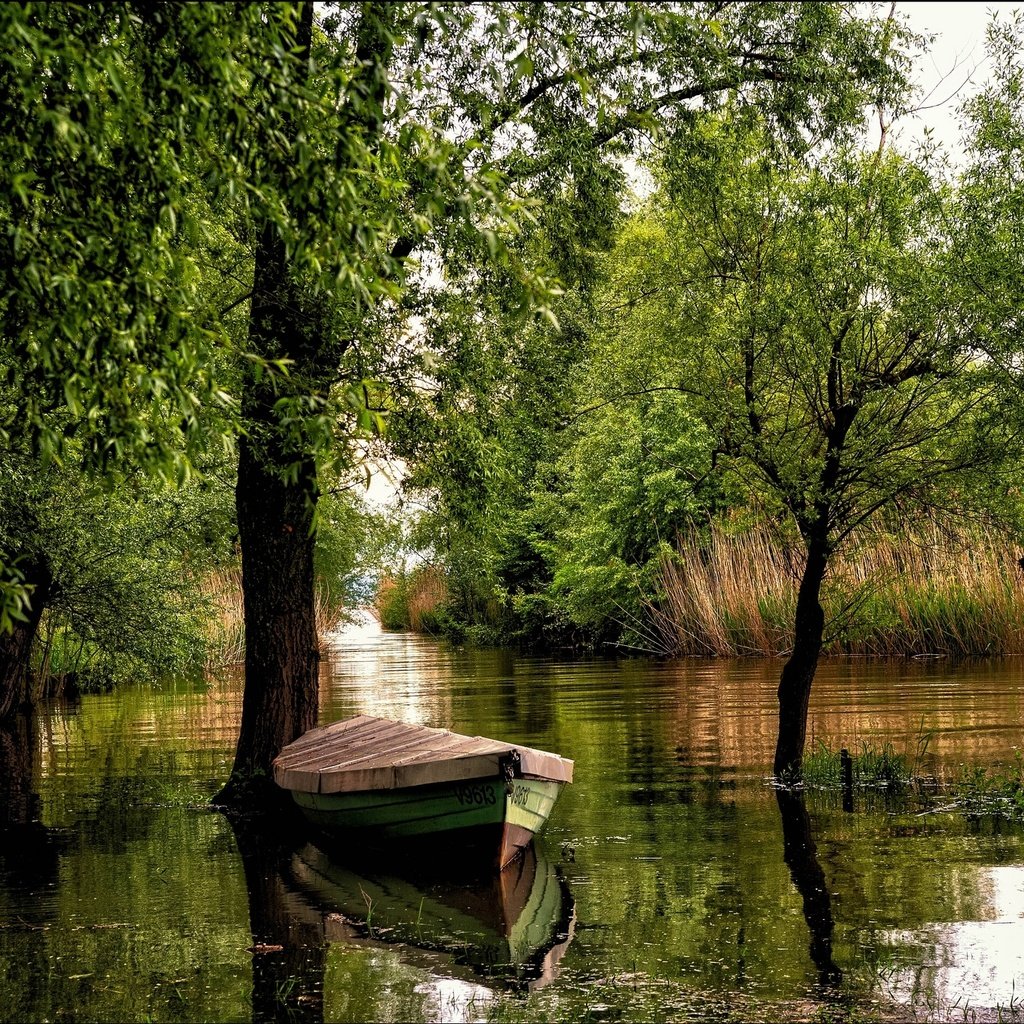 Обои деревья, река, австрия, лодка, форарльберг, trees, river, austria, boat, vorarlberg разрешение 2036x1357 Загрузить
