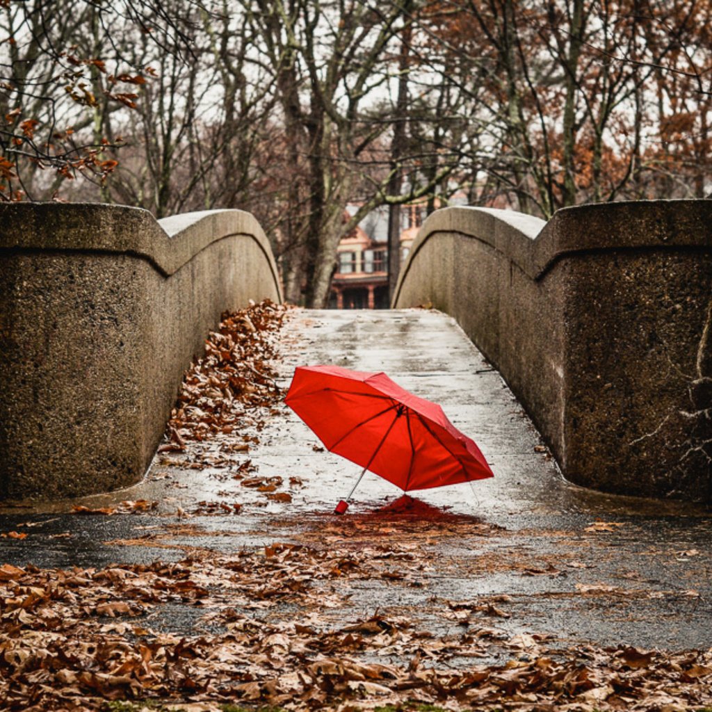 Обои мост, город, осень, красный, зонтик, bridge, the city, autumn, red, umbrella разрешение 2048x1305 Загрузить