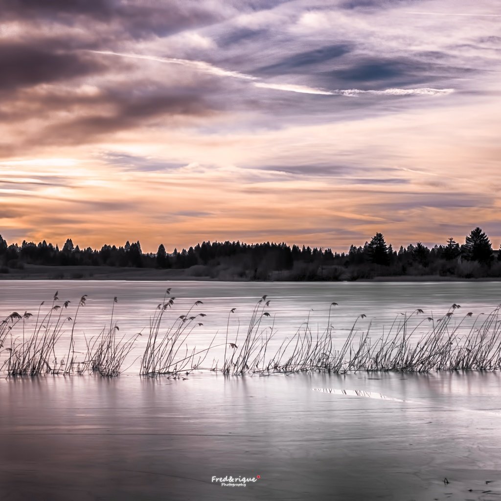 Обои озеро, закат, камыш, lake, sunset, reed разрешение 5472x3080 Загрузить