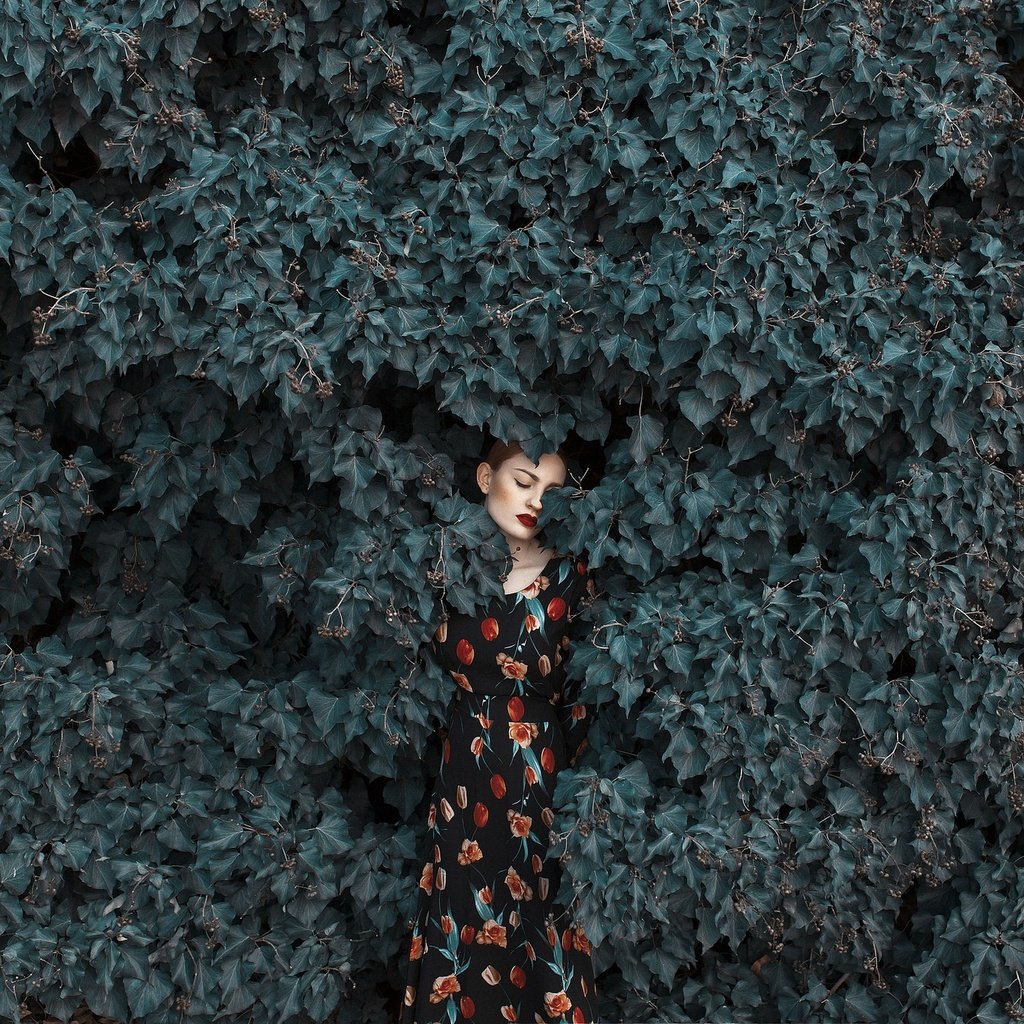 Обои девушка, платье, листва, лицо, girl, dress, foliage, face разрешение 2048x1365 Загрузить