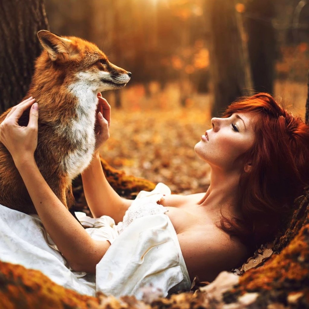 Обои лес, животные, осень, девушки, лиса, рыжеволосая, forest, animals, autumn, girls, fox, redhead разрешение 1920x1200 Загрузить