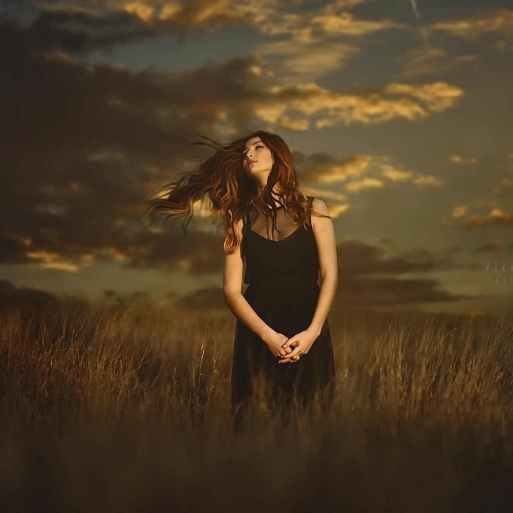 Обои закат, девушка, поле, волосы, sunset, girl, field, hair разрешение 2048x1256 Загрузить