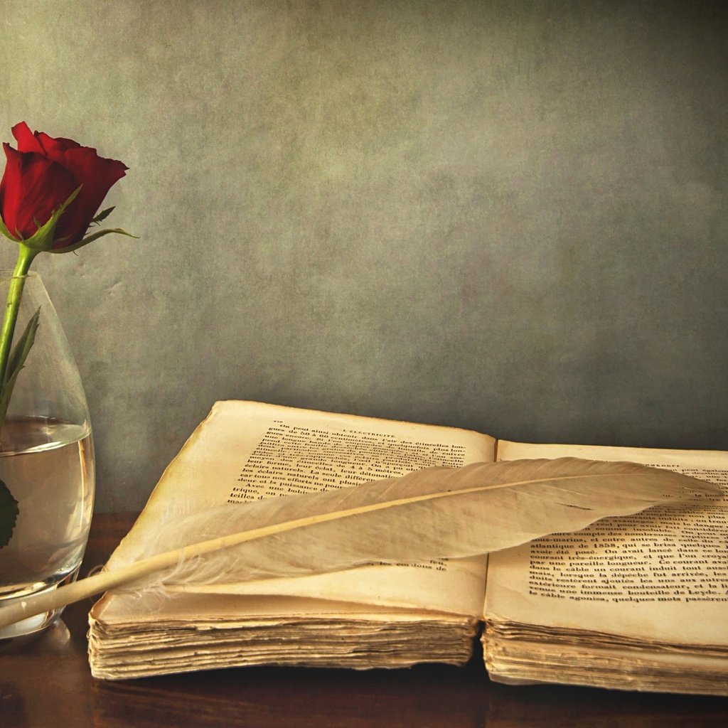 Обои роза, красная, стол, ваза, книга, перо, старая, rose, red, table, vase, book, pen, old разрешение 2560x1600 Загрузить